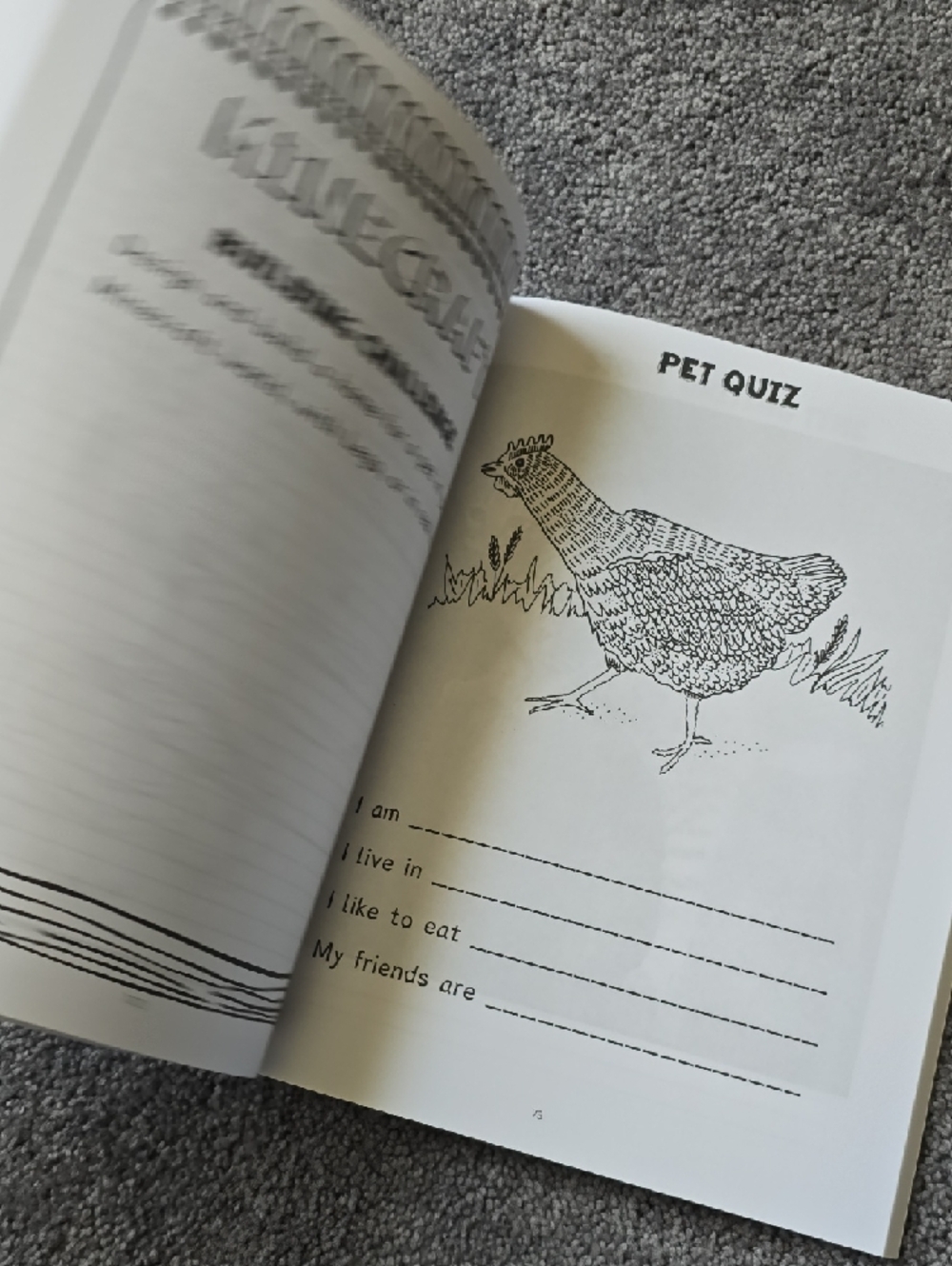 Minecraft 'All About Pets' Fun Schooling Journal - Orange & Gray - Picture 11 of 16